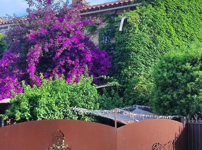 Un Coin De Paradis *
