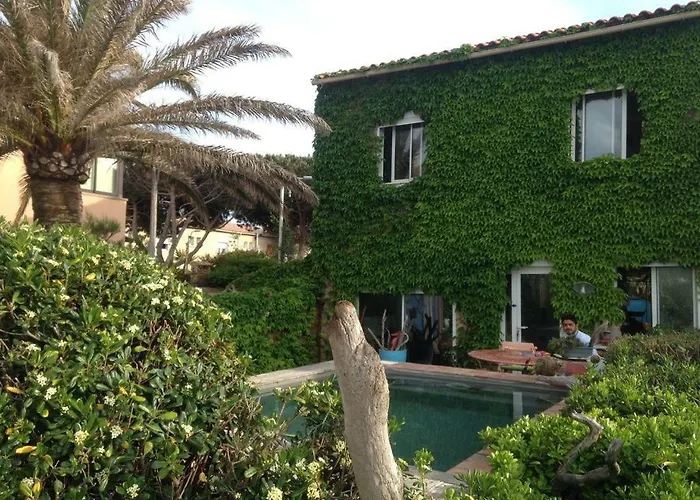 Un Coin De Paradis